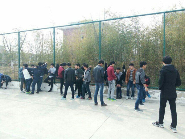 QQ图片20160328122837.jpg