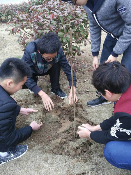 QQ图片20170313114819.jpg